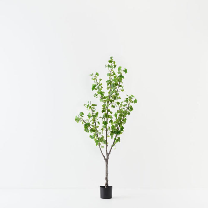 Artificial Gingko Tree 183cm Green - FLORA DESIGNS