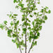Artificial Gingko Tree 183cm Green - FLORA DESIGNS