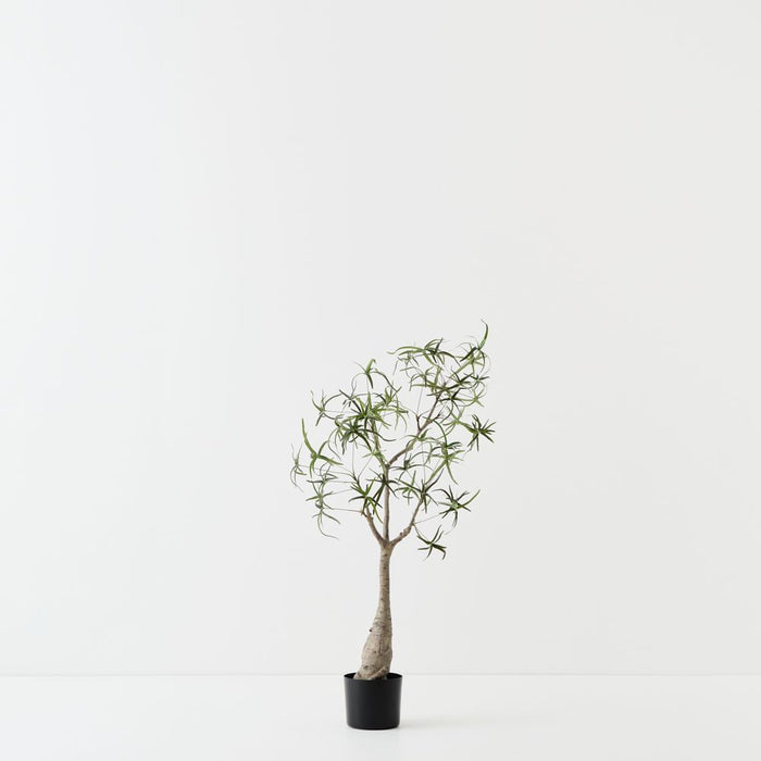 Artificial Bottle Tree 90cm Green - FLORA DESIGNS