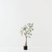 Artificial Bottle Tree 90cm Green - FLORA DESIGNS