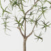 Artificial Bottle Tree 90cm Green - FLORA DESIGNS