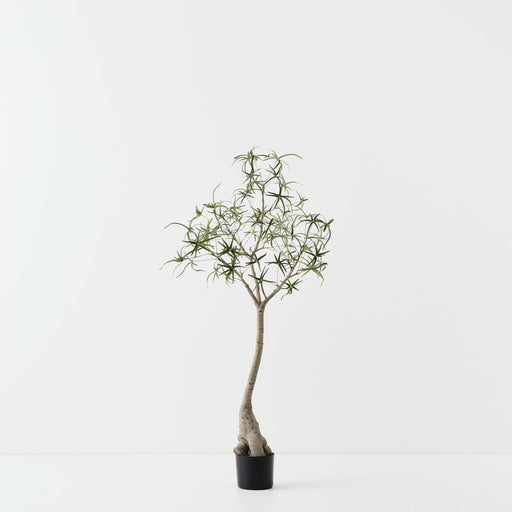 Artificial Bottle Tree 120cm Green - FLORA DESIGNS