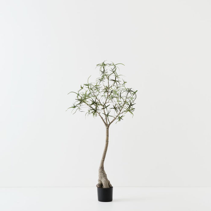 Artificial Bottle Tree 120cm Green - FLORA DESIGNS