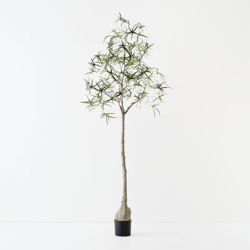 Artificial Bottle Tree 165cm Green - FLORA DESIGNS