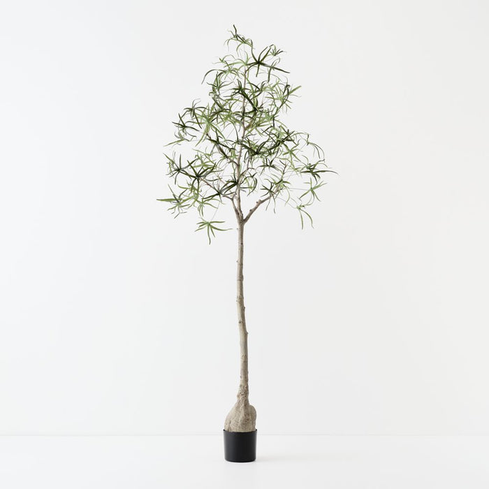 Artificial Bottle Tree 165cm Green - FLORA DESIGNS