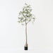Artificial Bottle Tree 165cm Green - FLORA DESIGNS