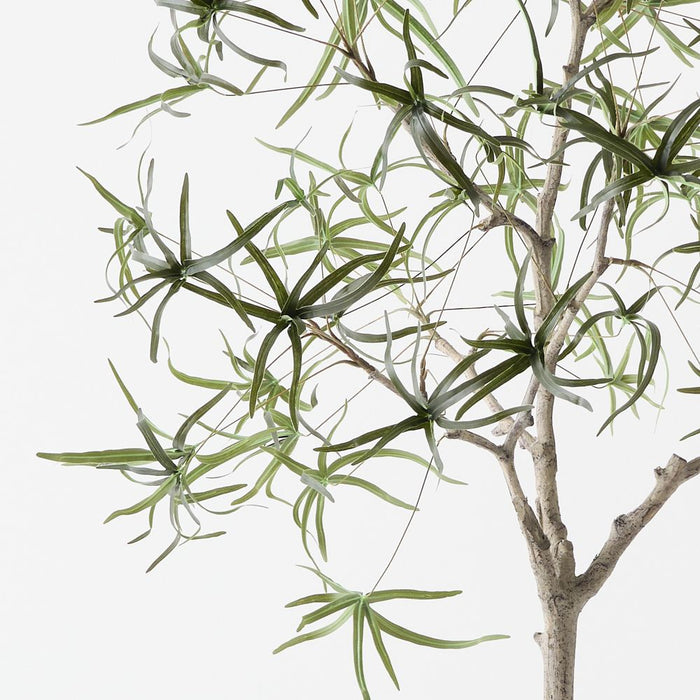 Artificial Bottle Tree 165cm Green - FLORA DESIGNS