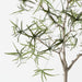 Artificial Bottle Tree 165cm Green - FLORA DESIGNS