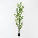 Artificial Gingko Tree 244cm Green - FLORA DESIGNS