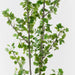 Artificial Gingko Tree 244cm Green - FLORA DESIGNS