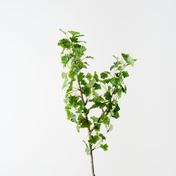 Artificial Gingko Leaf Spray 102cm Green - Pack of 6 - FLORA DESIGNS