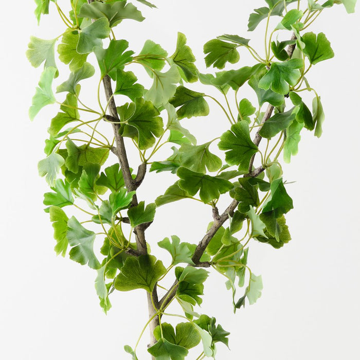 Artificial Gingko Leaf Spray 102cm Green - Pack of 6 - FLORA DESIGNS