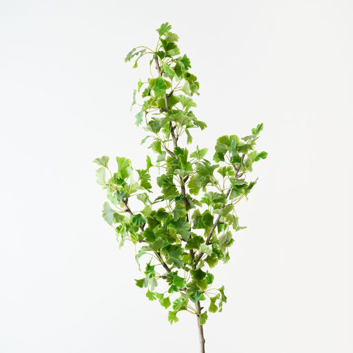 Artificial Gingko Leaf Spray 116cm Green - Pack of 6 - FLORA DESIGNS