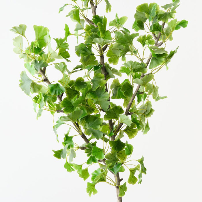 Artificial Gingko Leaf Spray 116cm Green - Pack of 6 - FLORA DESIGNS