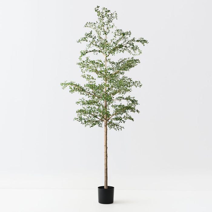 Artificial Black Olive Tree 390cm Green - FLORA DESIGNS