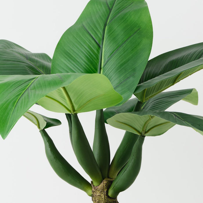 Artificial Curcuma Plant 65cm Green - Pack of 2 - FLORA DESIGNS