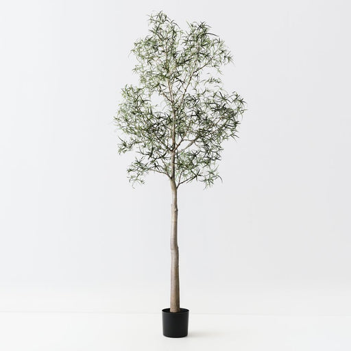 Artificial Bottle Tree 360cm Green - FLORA DESIGNS