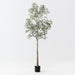 Artificial Bottle Tree 360cm Green - FLORA DESIGNS