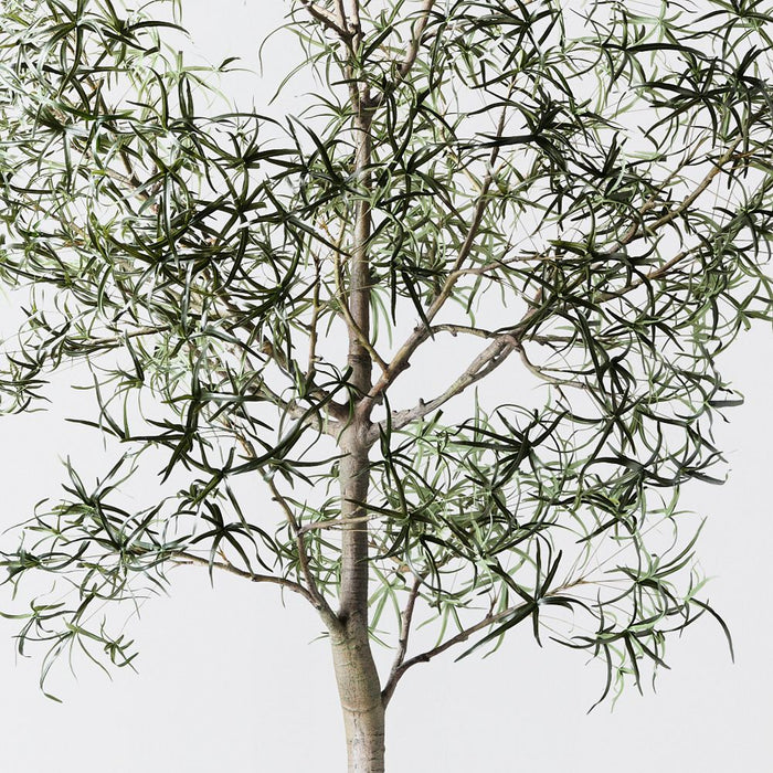 Artificial Bottle Tree 360cm Green - FLORA DESIGNS