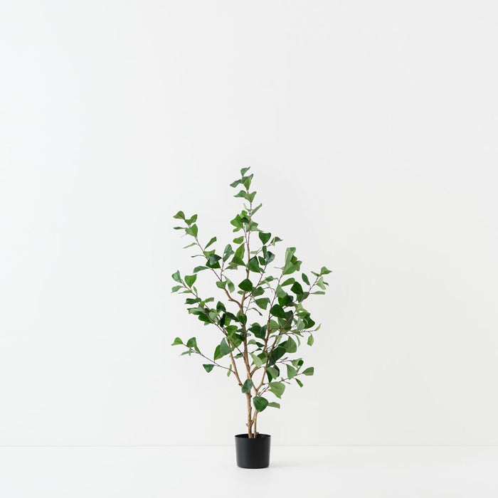 Artificial Triangular Ficus Tree 120cm Green - Pack of 2 - FLORA DESIGNS