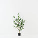 Artificial Triangular Ficus Tree 120cm Green - Pack of 2 - FLORA DESIGNS