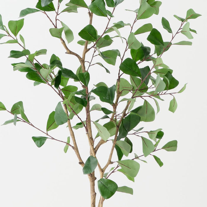 Artificial Triangular Ficus Tree 120cm Green - Pack of 2 - FLORA DESIGNS