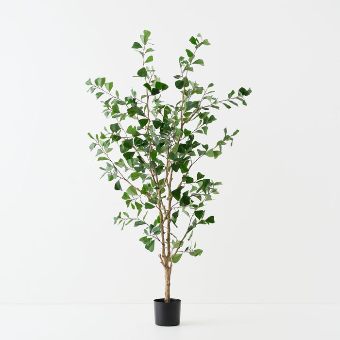 Artificial Triangular Ficus Tree 180cm Green - Pack of 2 - FLORA DESIGNS