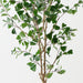 Artificial Triangular Ficus Tree 180cm Green - Pack of 2 - FLORA DESIGNS