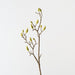 Artificial Magnolia Bud Spray 82cm Natural - FLORA DESIGNS