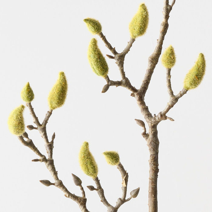 Artificial Magnolia Bud Spray 82cm Natural - FLORA DESIGNS