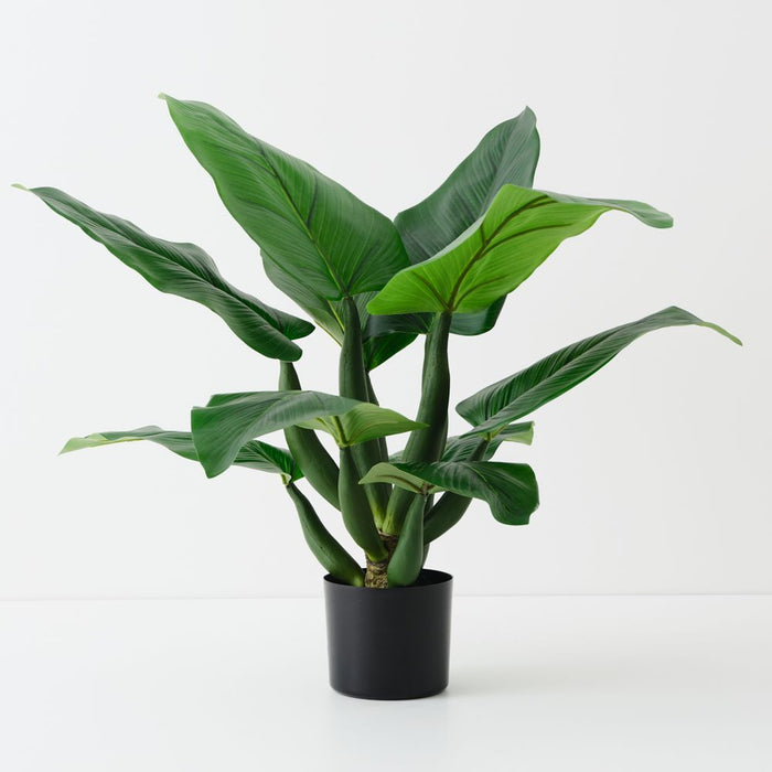 Artificial Curcuma Plant 85cm Green - Pack of 2 - FLORA DESIGNS