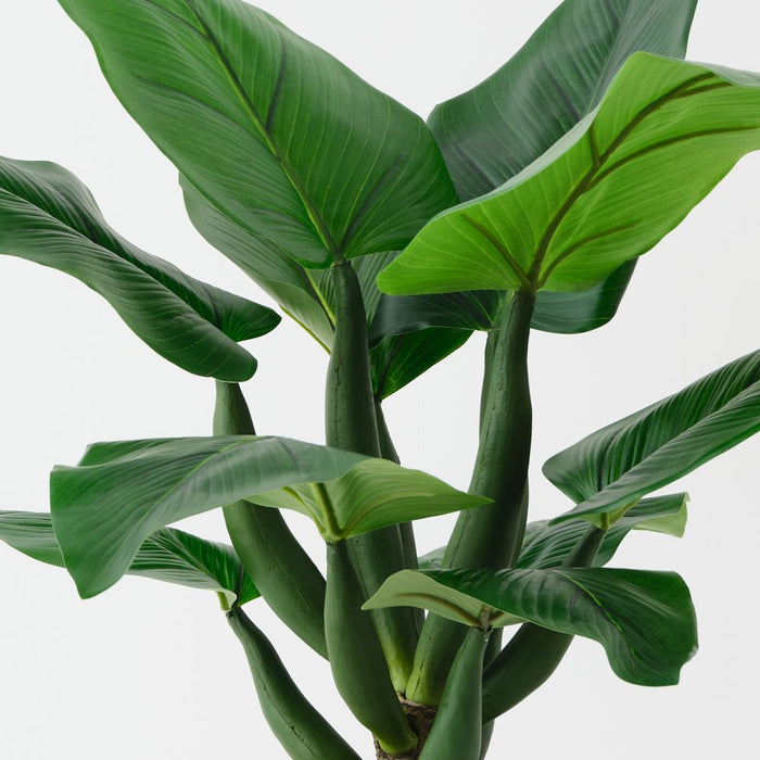 Artificial Curcuma Plant 85cm Green - Pack of 2 - FLORA DESIGNS