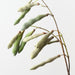 Artificial Hyacinth Bean Spray 95cm Light Green - Pack of 12 - FLORA DESIGNS
