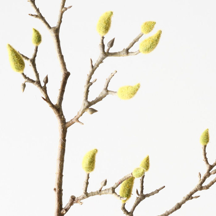 Artificial Magnolia Bud Spray 110cm Natural - Pack of 12 - FLORA DESIGNS