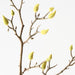 Artificial Magnolia Bud Spray 110cm Natural - Pack of 12 - FLORA DESIGNS