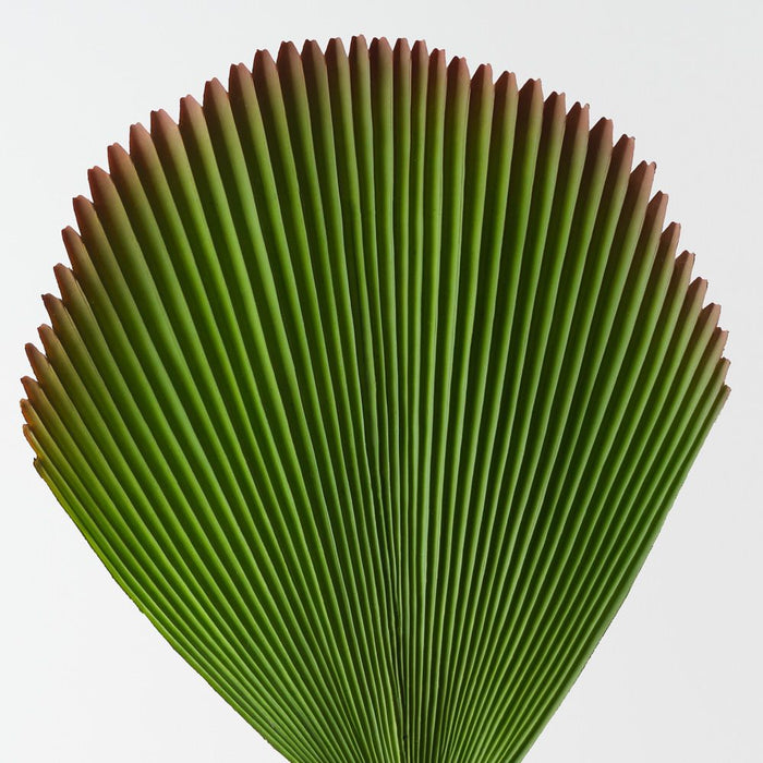 Artificial Fan Palm 95cm Green - Pack of 12 - FLORA DESIGNS