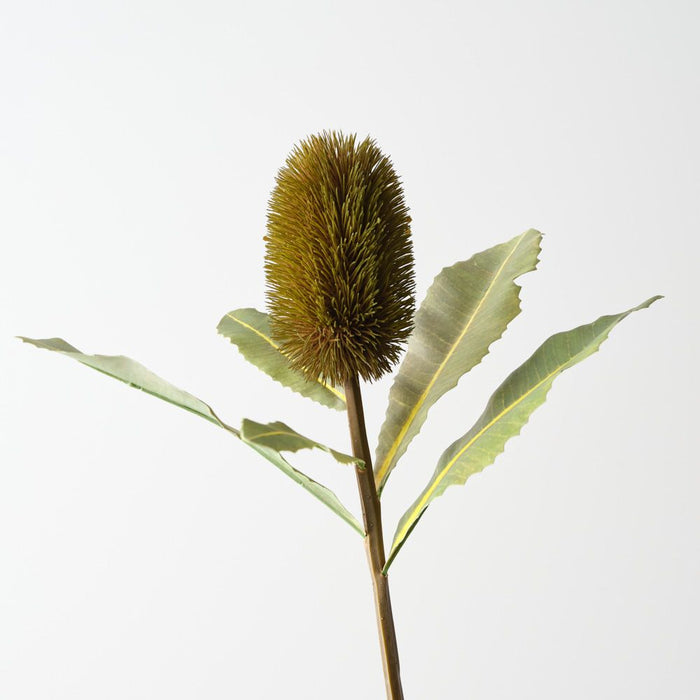 Artificial Banksia Robur 70cm Green - Pack of 12 - FLORA DESIGNS