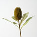 Artificial Banksia Robur 70cm Green - Pack of 12 - FLORA DESIGNS