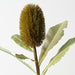 Artificial Banksia Robur 70cm Green - Pack of 12 - FLORA DESIGNS