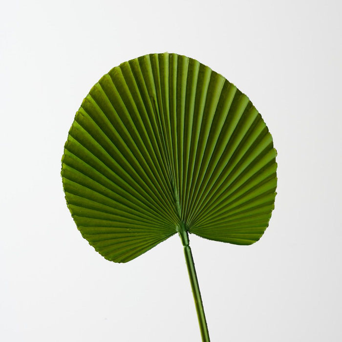 Artificial Fan Palm 54cm Green - Pack of 12 - FLORA DESIGNS