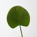 Artificial Fan Palm 54cm Green - Pack of 12 - FLORA DESIGNS