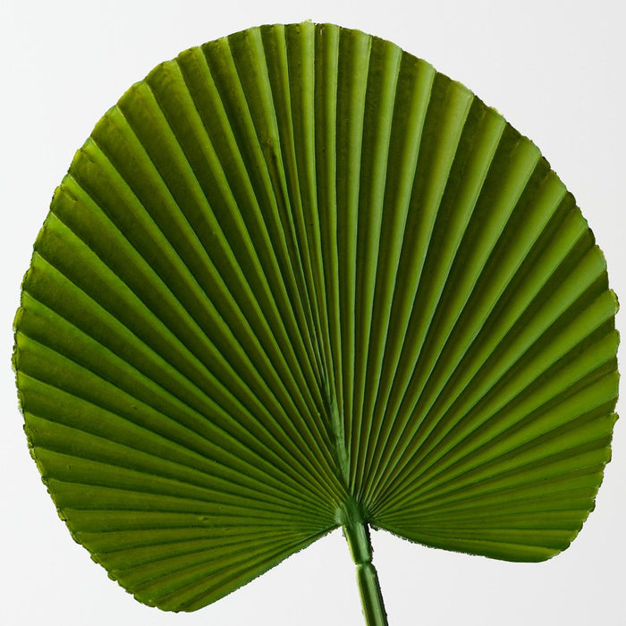 Artificial Fan Palm 54cm Green - Pack of 12 - FLORA DESIGNS