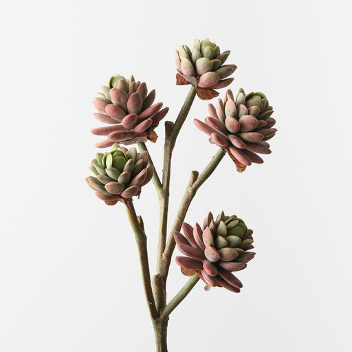 Artificial Echeveria Pick 45cm Pink Green - FLORA DESIGNS