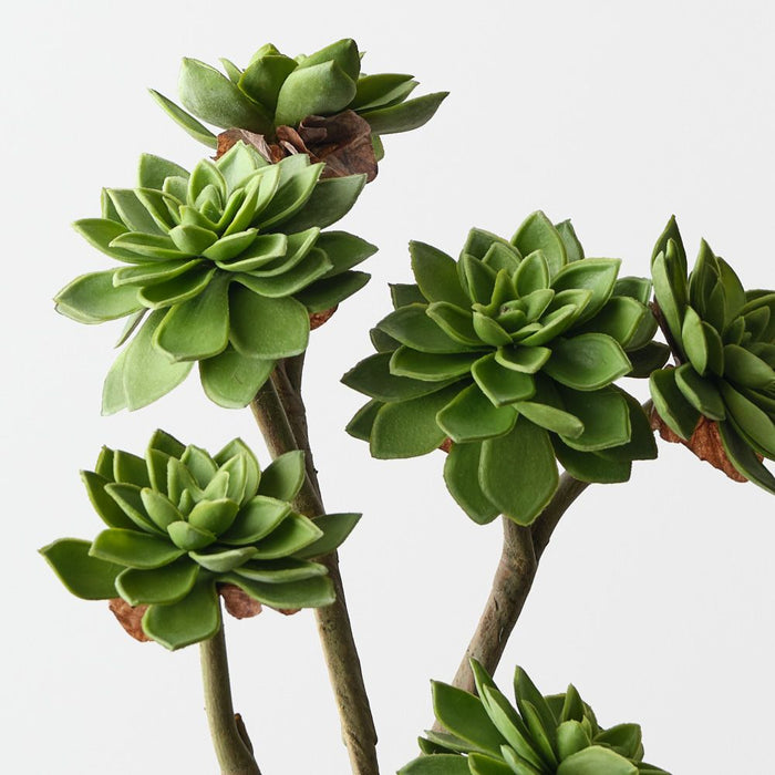 Artificial Echeveria Pick 38cm Green - Pack of 12 - FLORA DESIGNS