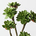 Artificial Echeveria Pick 38cm Green - Pack of 12 - FLORA DESIGNS