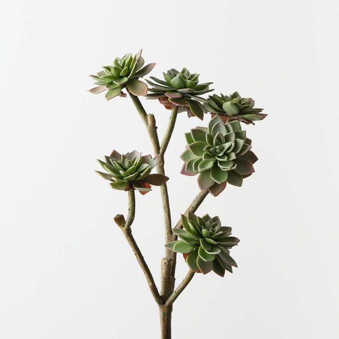 Artificial Echeveria Pick 38cm Grey Green - Pack of 12 - FLORA DESIGNS