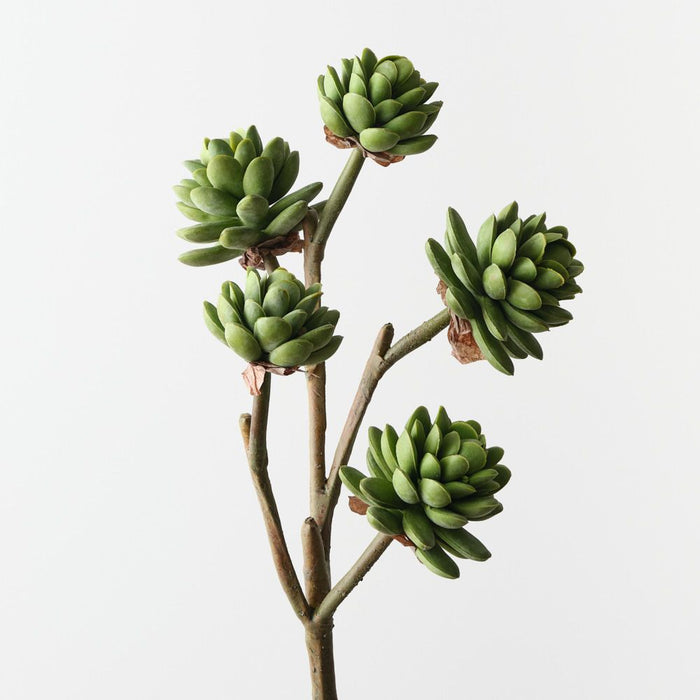 Artificial Echeveria Pick 45cm Green - Pack of 12 - FLORA DESIGNS