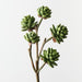 Artificial Echeveria Pick 45cm Green - Pack of 12 - FLORA DESIGNS