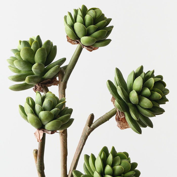 Artificial Echeveria Pick 45cm Green - Pack of 12 - FLORA DESIGNS