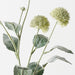 Artificial Thistle Spray 80cm Green - Pack of 12 - FLORA DESIGNS